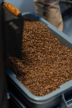 Roasted Chocoberry Colombian natural process specialty coffee by Pattern Coffee Belfast